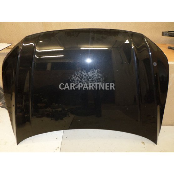 004219 Kapota VW Tiguan 5NA.JPG